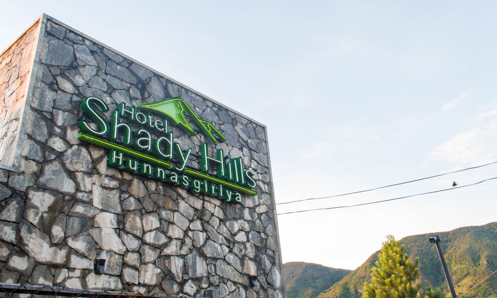 Shady Hills Images