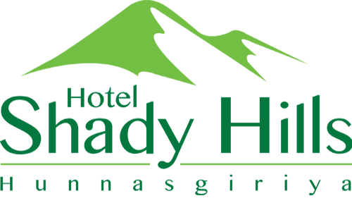 shady hills